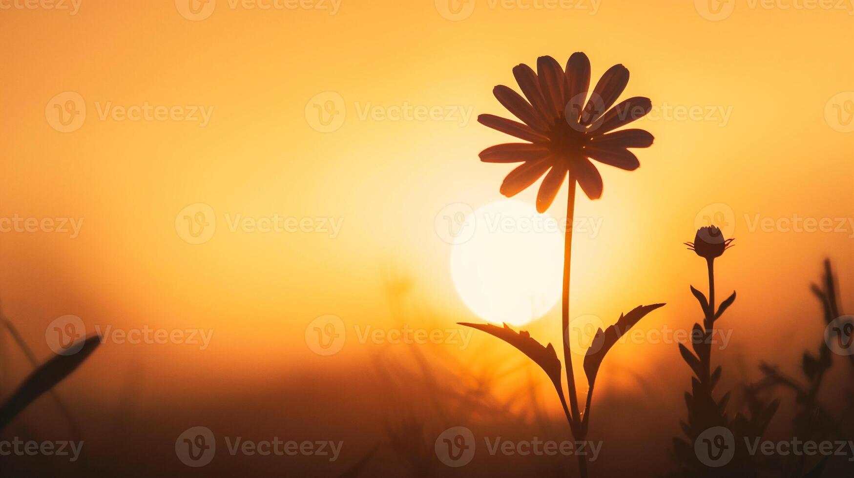 AI generated Beautiful flower in the meadow at sunset. photo