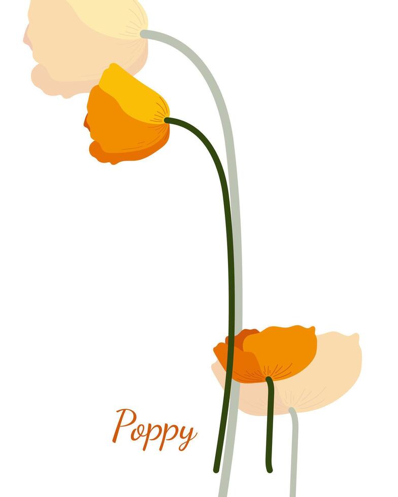 Two yellow home flowers poppies simple flat graphic design vector
