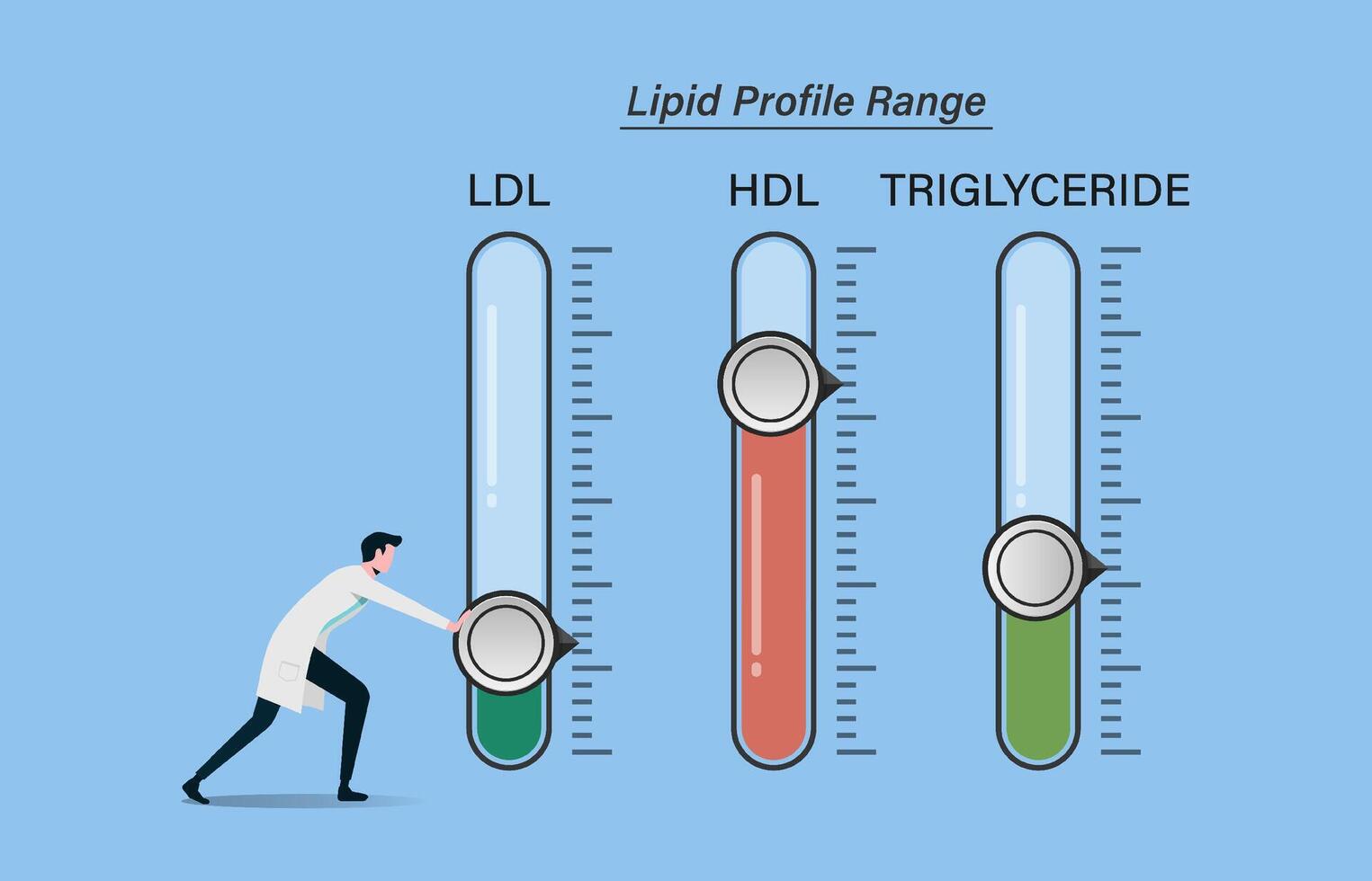 maintain optimal lipid profile levels or range. Reduces the risk of heart and degenerative diseases. Healthcare provider try to lowering blood lipids. Healthy lifestyles vector