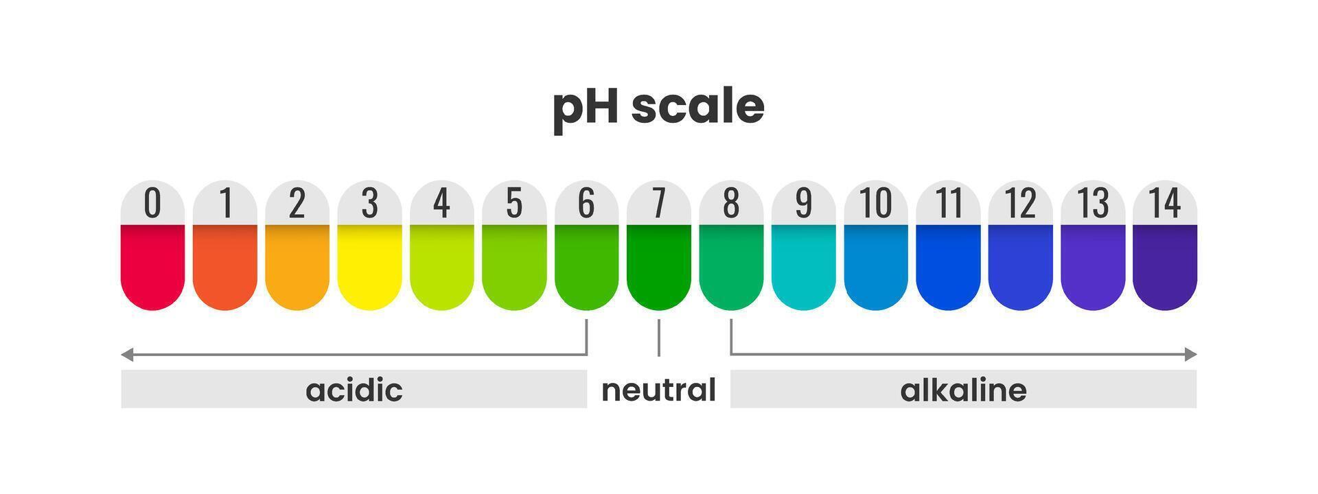 pH scale indicator color chart diagram acidic alkaline measure, litmus paper color chart with value number vector