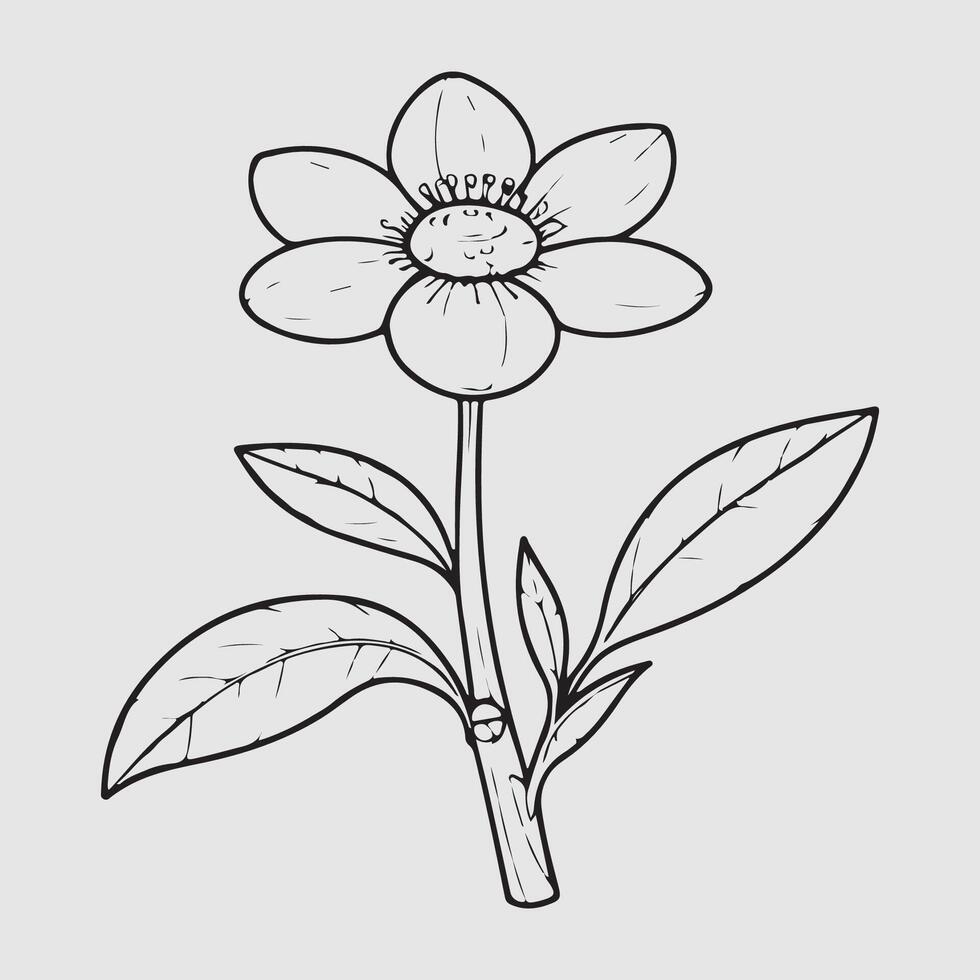 simple drawing lines of a realistic flower perched on branch flower vector