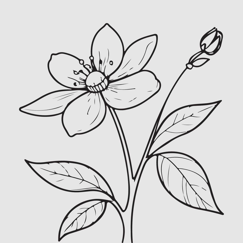 simple drawing lines of a realistic flower perched on branch flower vector