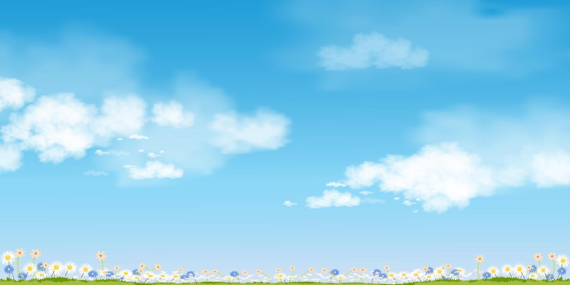 Environmental background,Sky blue,could over spring landscape with wide flower in park,Vector village scene grass meadow in sunny day summer,Nature Farm lawn field with clear sky vector