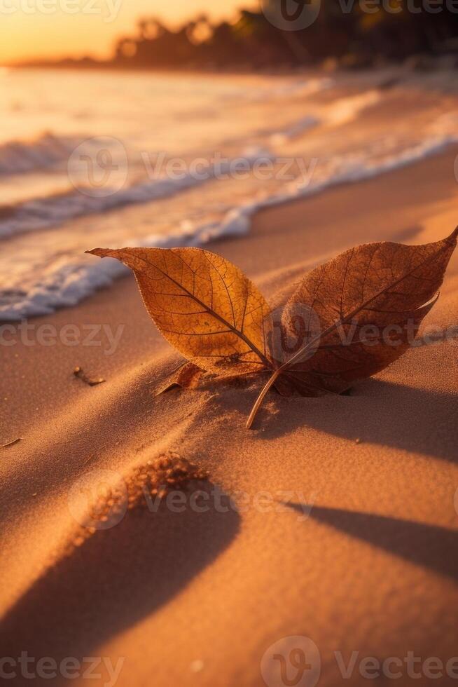ai generado puesta de sol en el playa con hojas en el arena foto