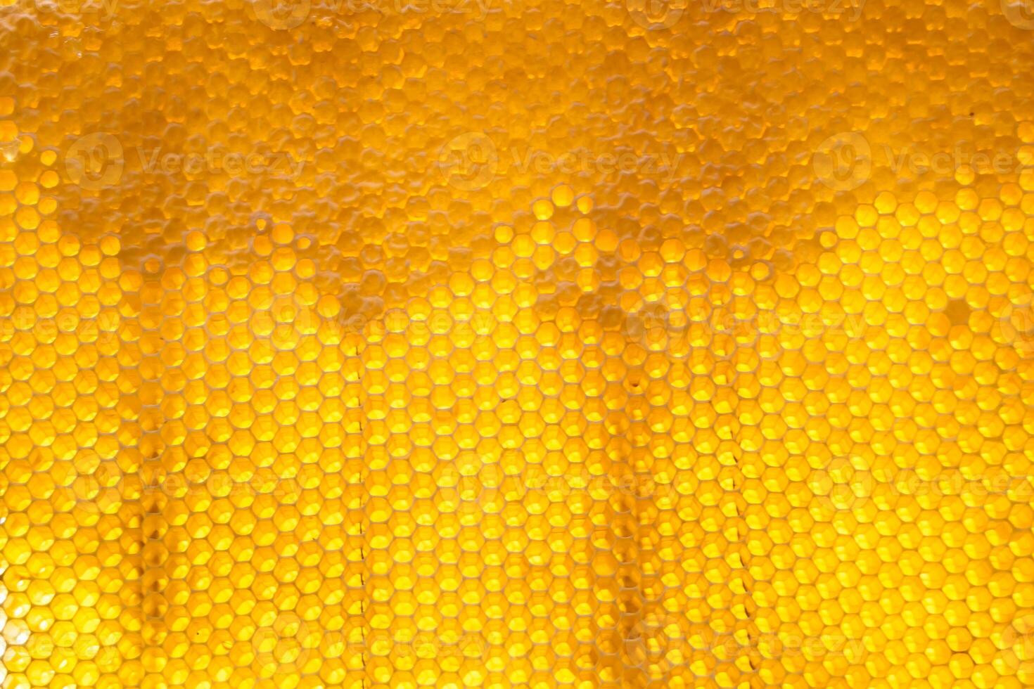 gota de goteo de miel de abeja de panales hexagonales llenos de néctar dorado foto