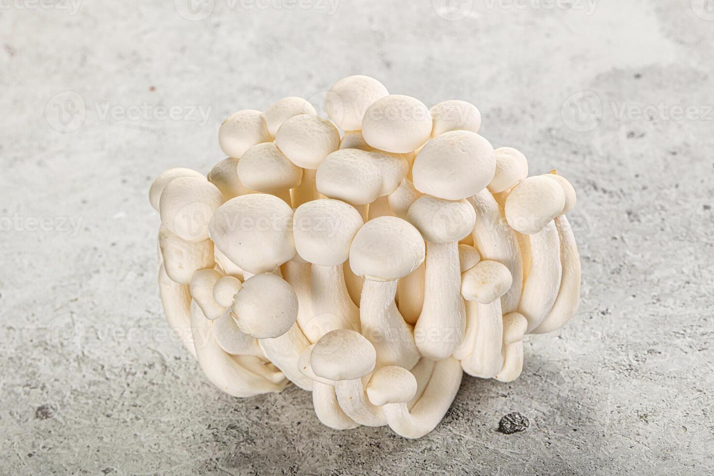 Japanese Shimeji mushroom for cooking photo