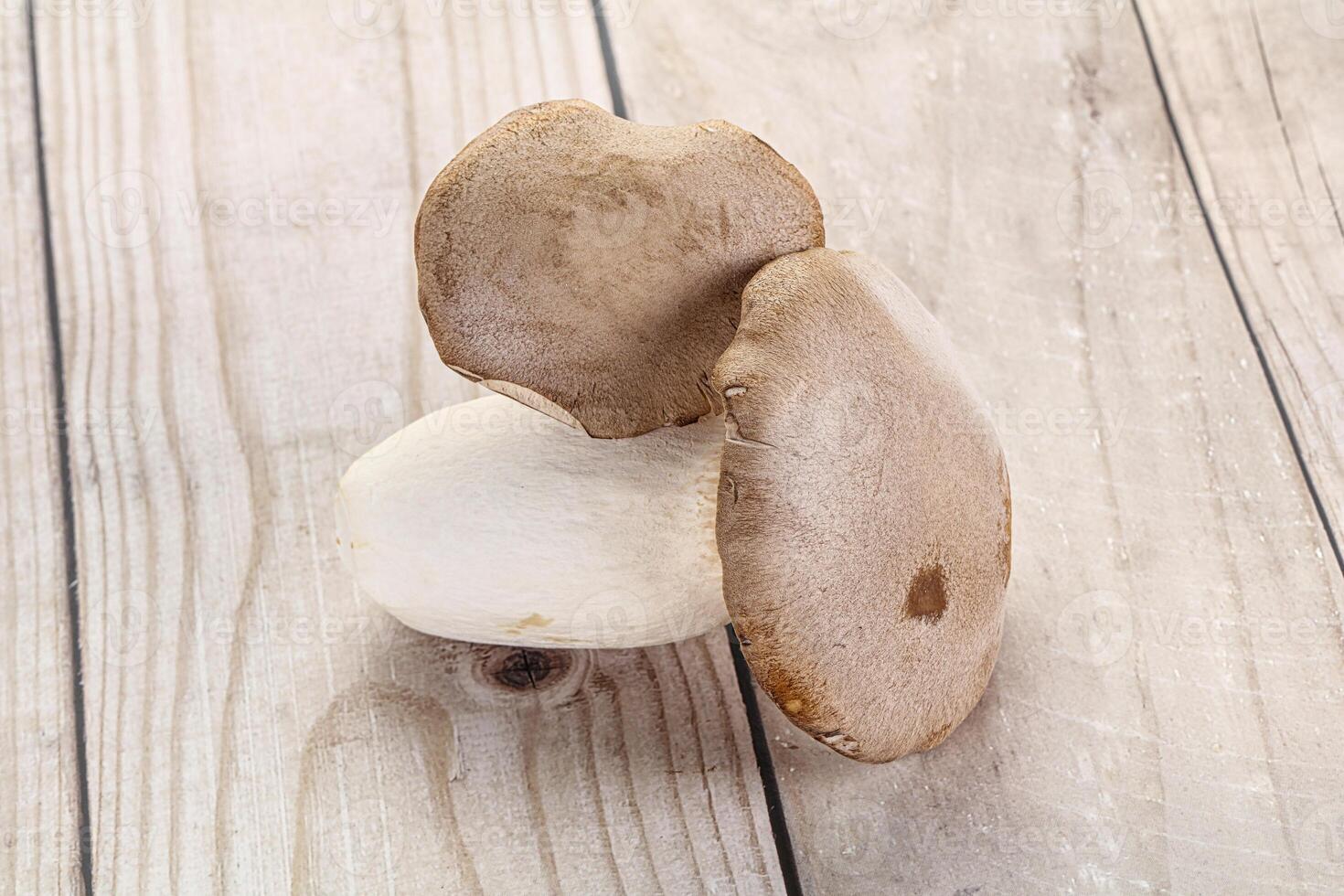 Raw Eringi mushrooms for cooking photo