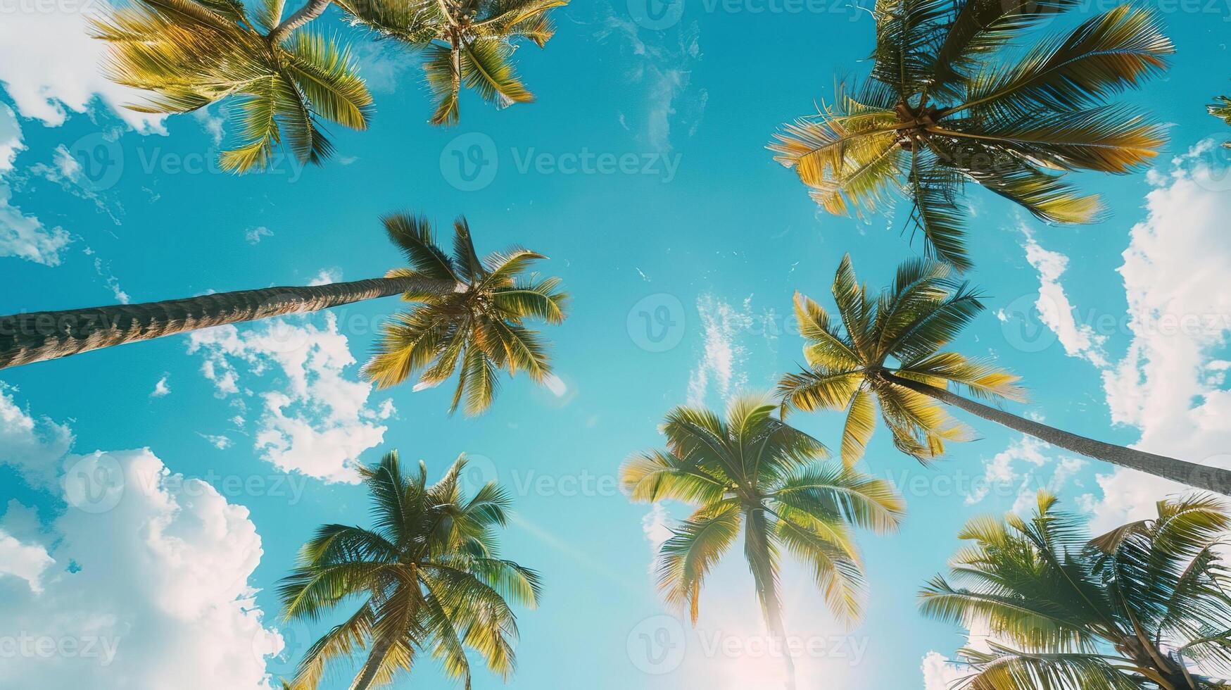 ai generado azul cielo y palma árbol. playa, verano, vacaciones, viajar, tropical, mar, día festivo, isla, nube, día foto
