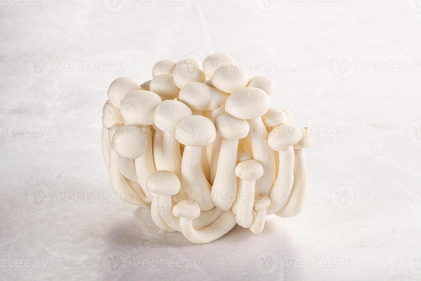 Japanese Shimeji mushroom for cooking photo