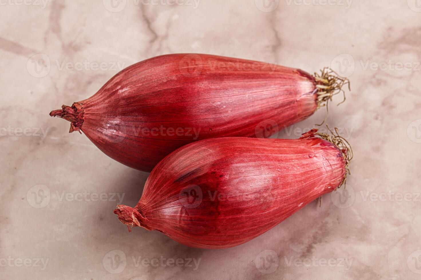 Violet raw onion for cooking photo
