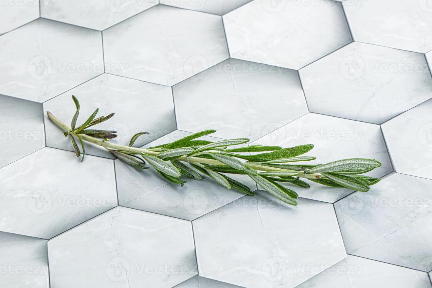 Rosemary branch - organic spicy herb photo