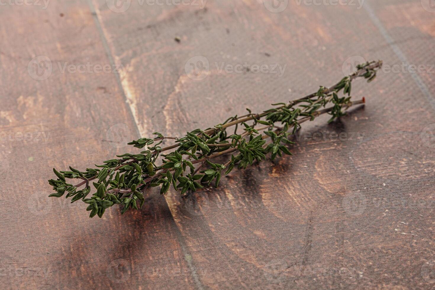 Thyme - aromatic seasoning herbal plant photo