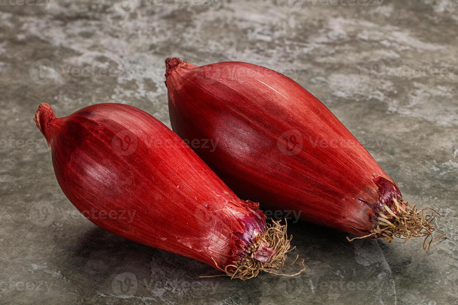 Violet raw onion for cooking photo