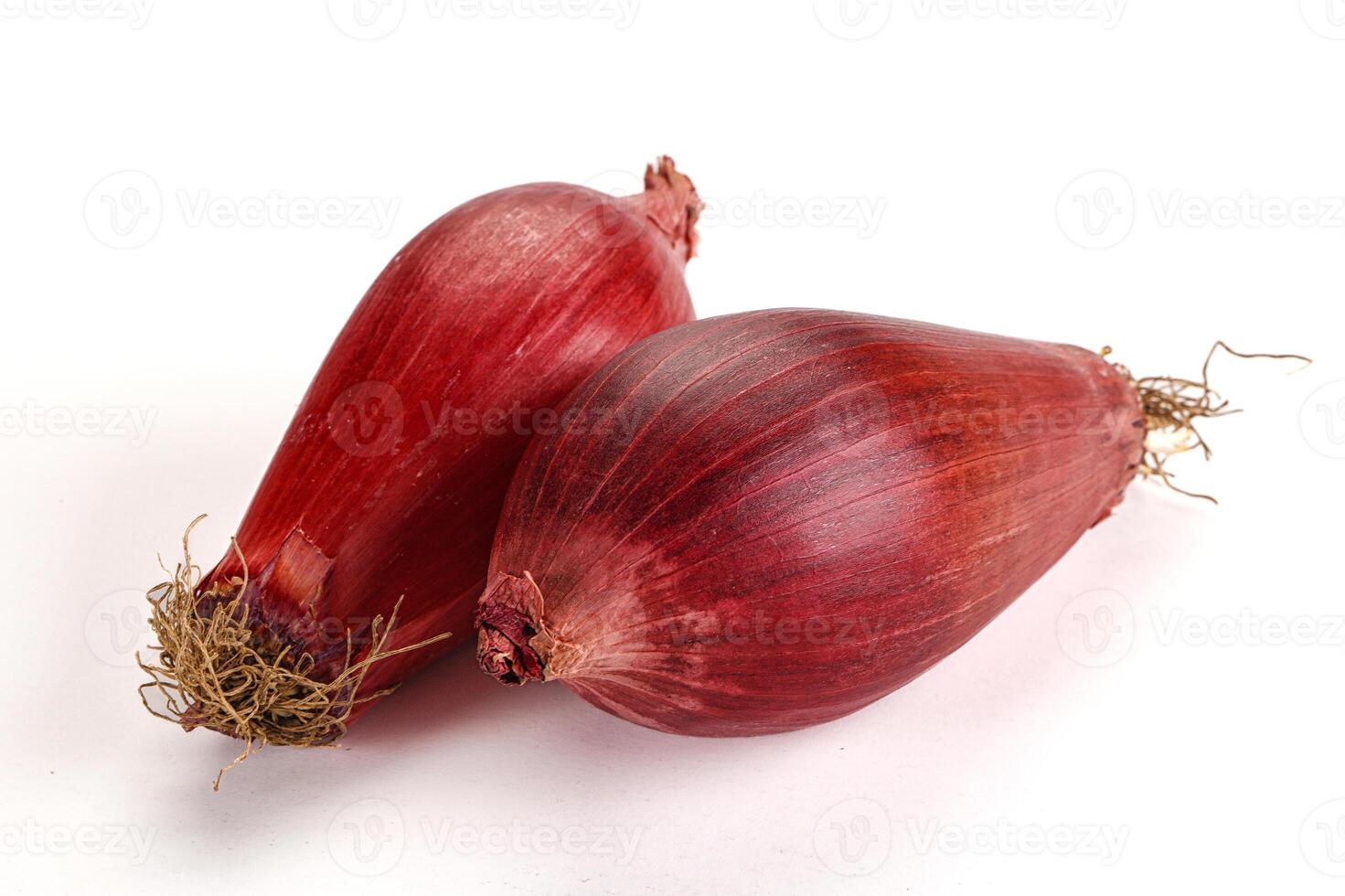 Violet raw onion for cooking photo