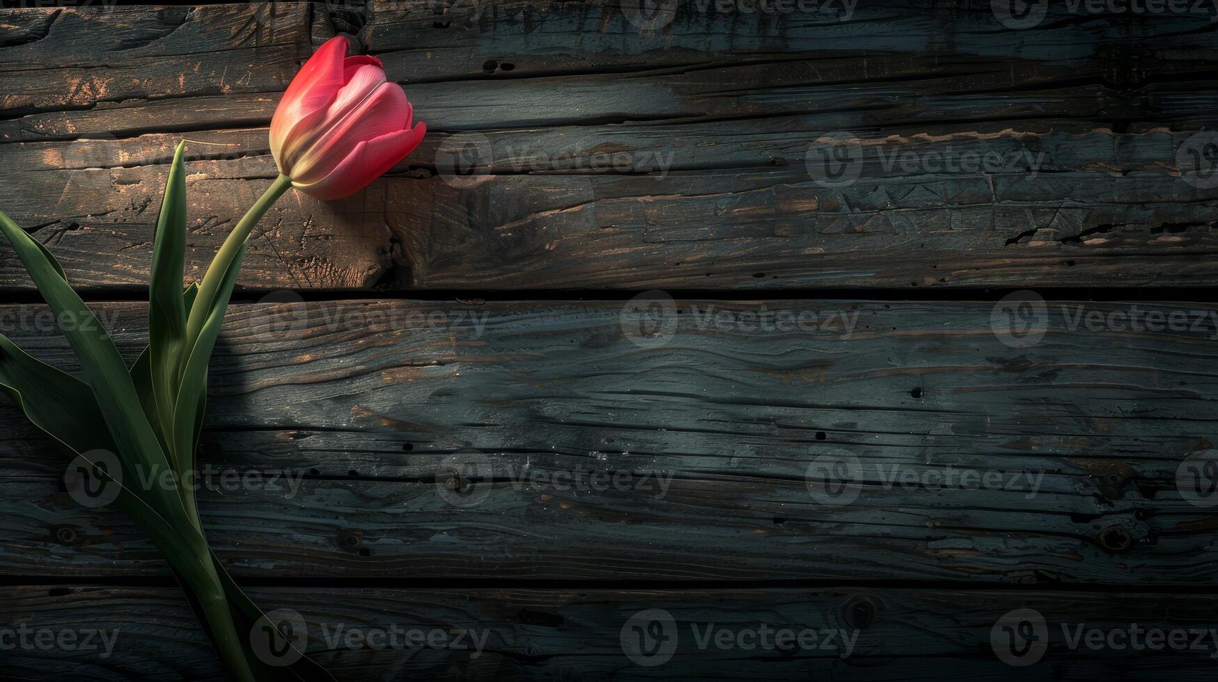 AI Generated A beautiful wooden background with tulips photo