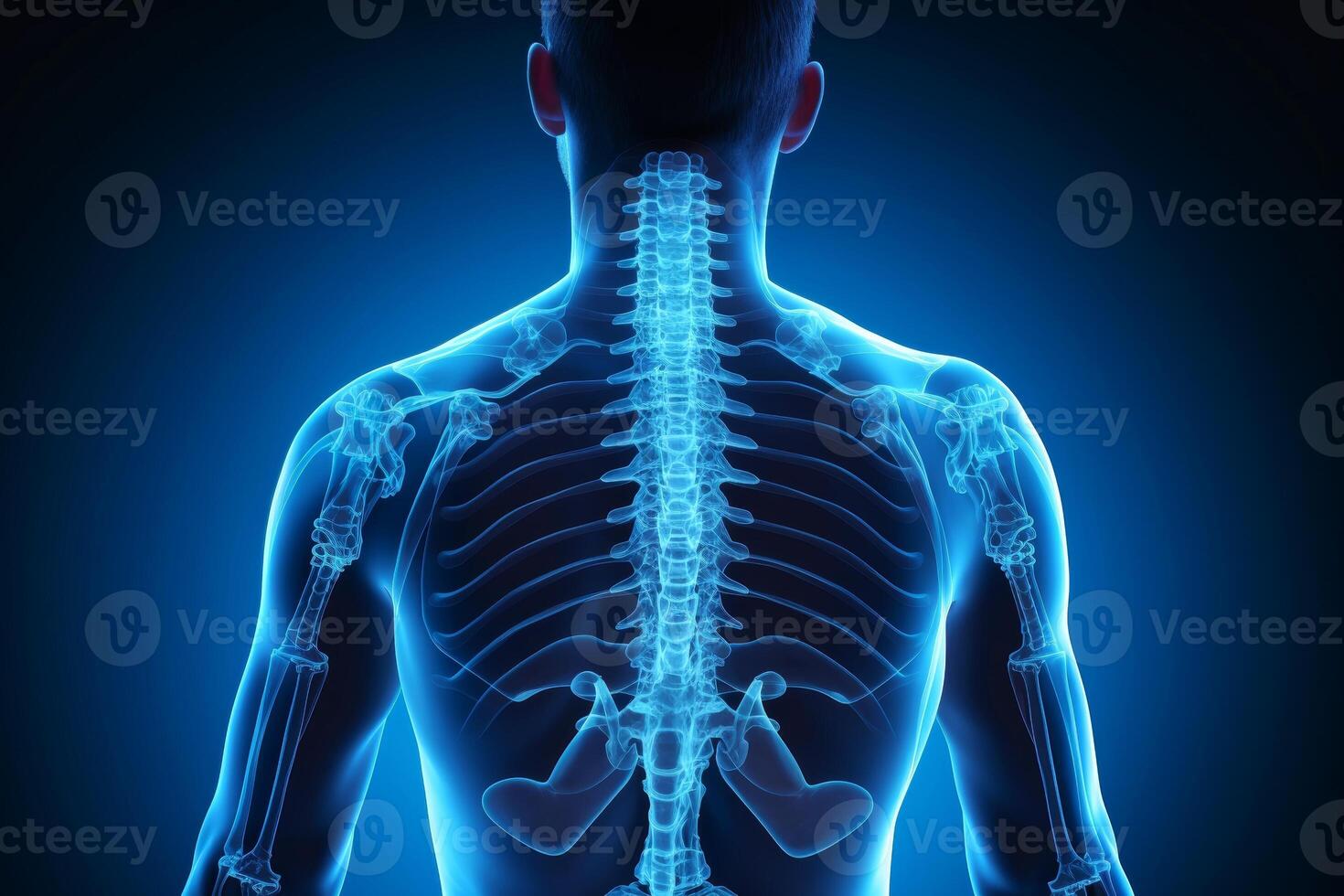 AI generated X-ray bones human body, medical concept, Generative AI photo