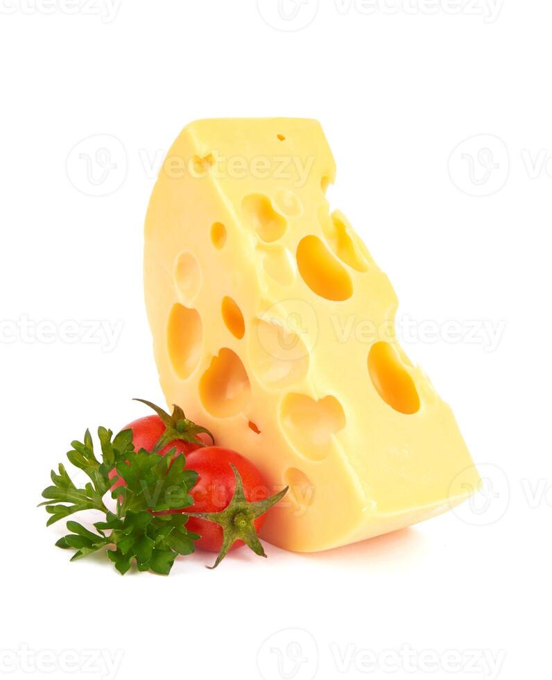 cheese on white photo