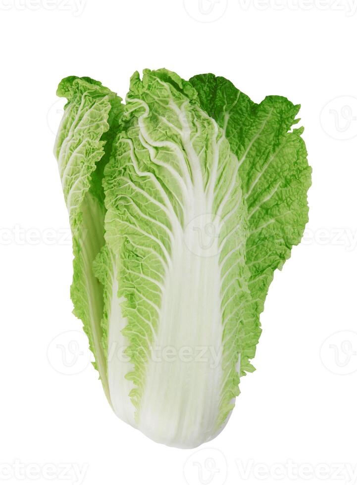 Chinese cabbage on white photo