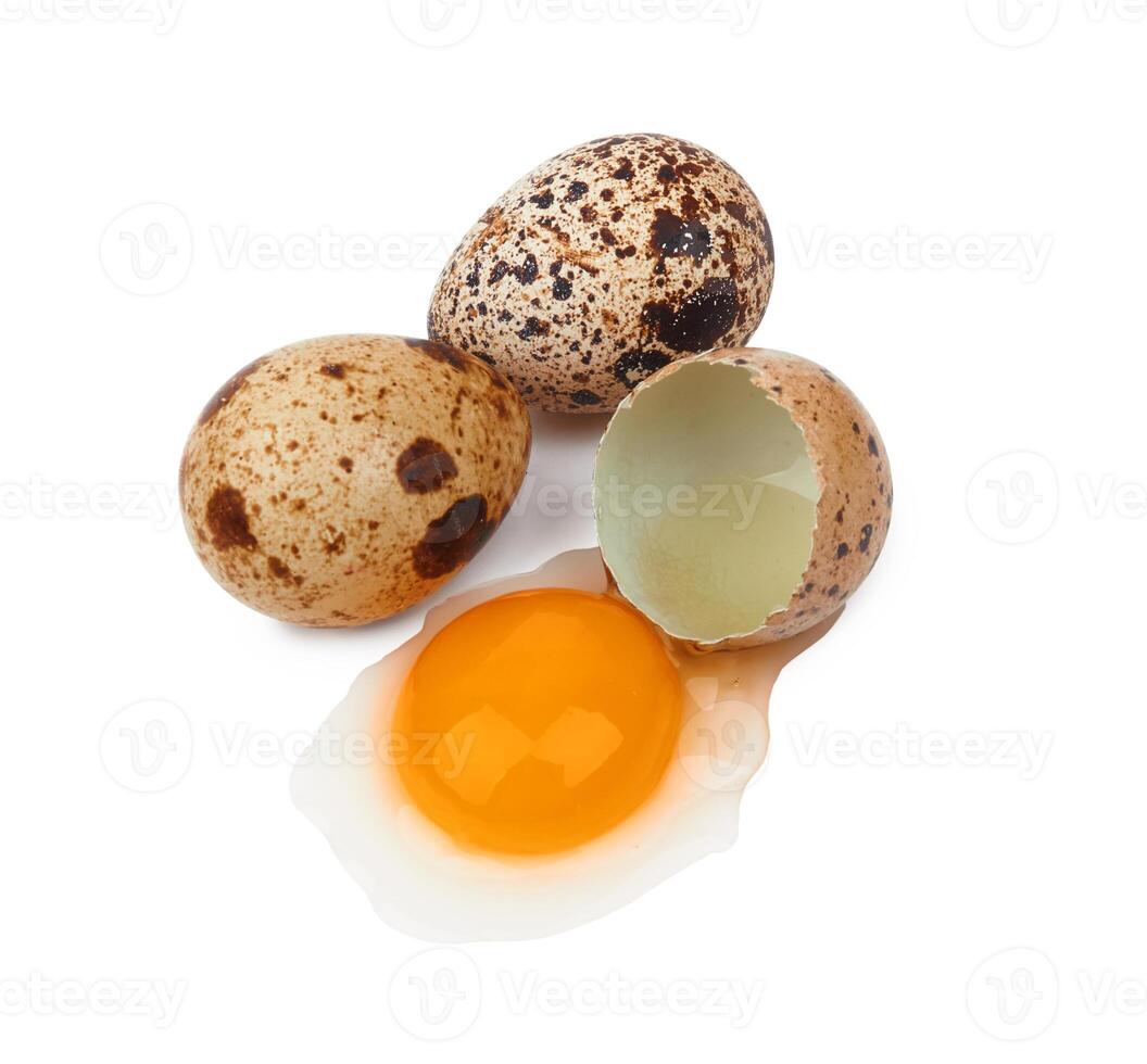 quail eggs isolated photo