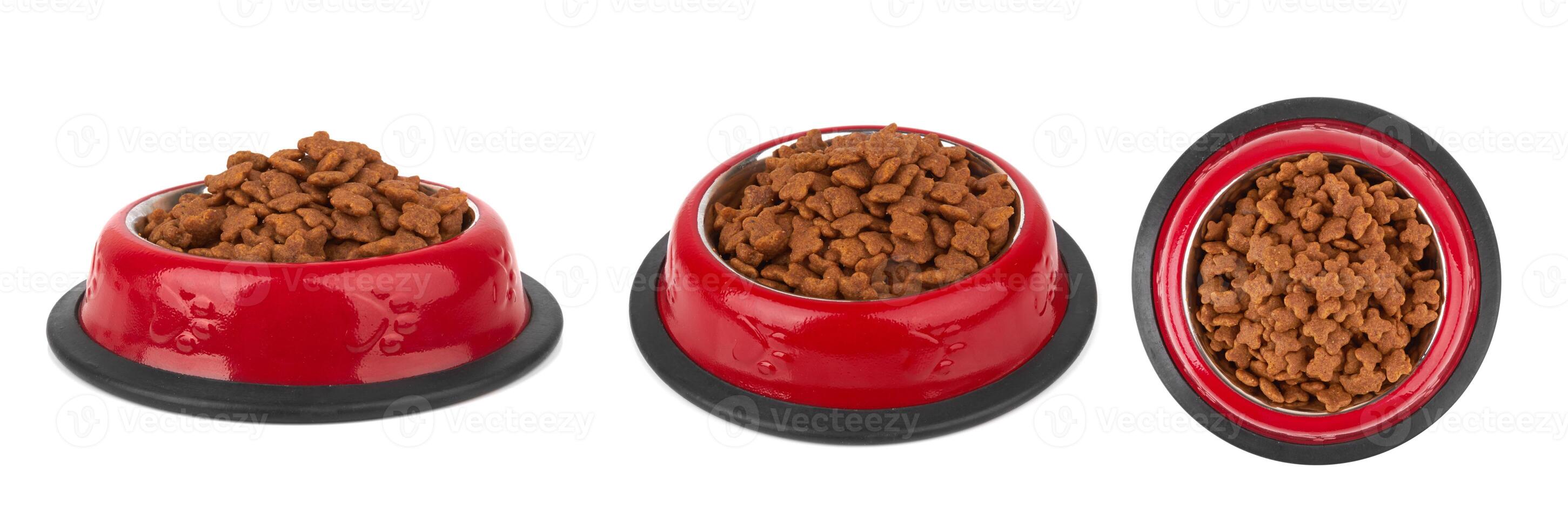 Pet food in bowl. photo