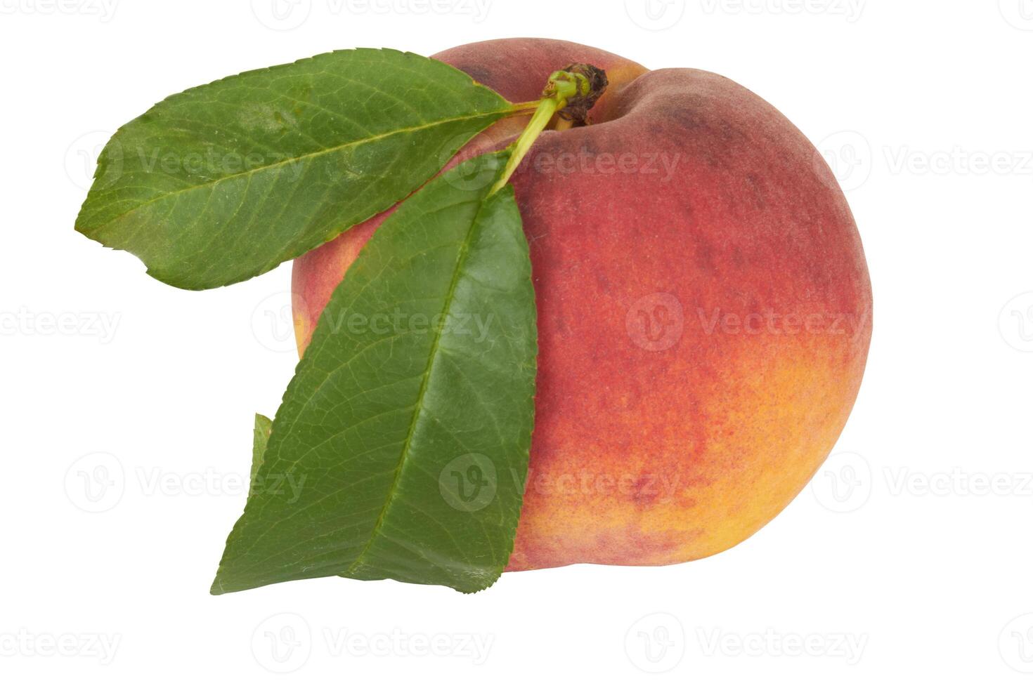 Ripe Peach with Leaf photo