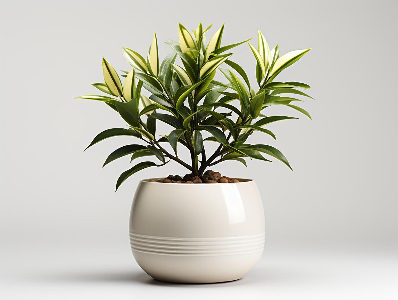 AI generated Plant pot for decoration photo