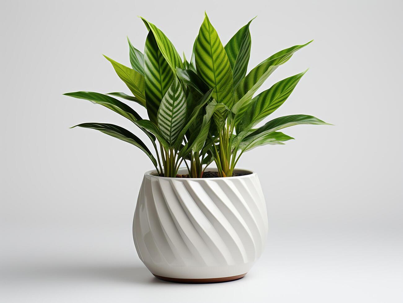 AI generated Plant pot for decoration photo