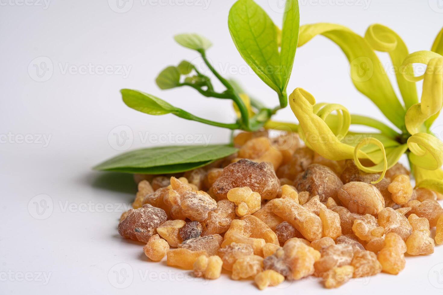 Frankincense or olibanum aromatic resin isolated on white background used in incense and perfumes. photo
