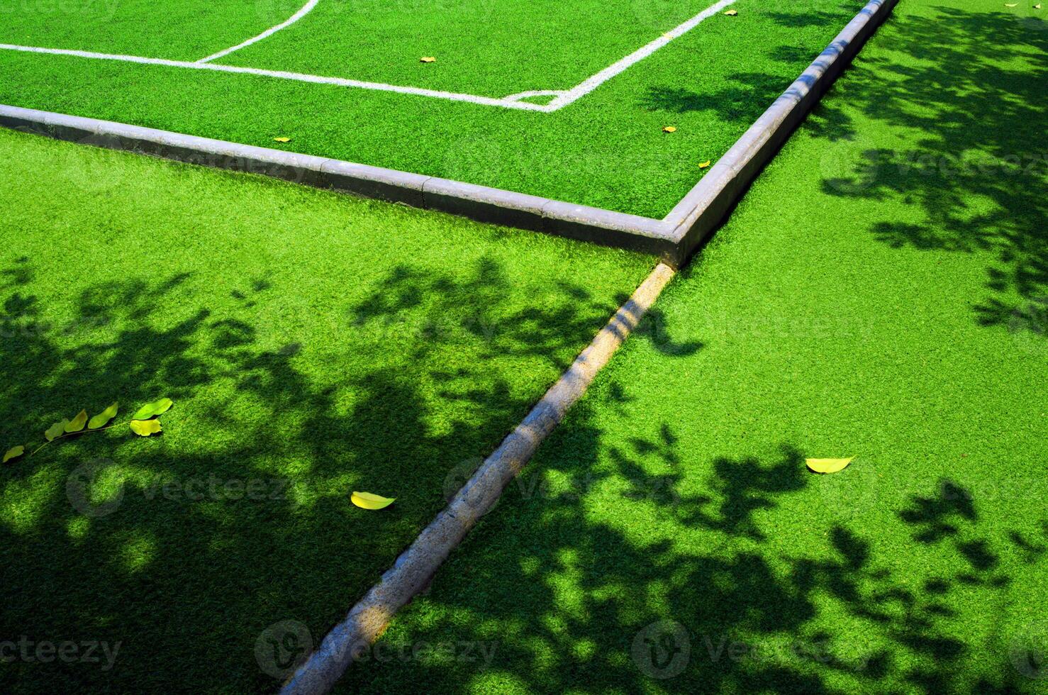 Shadow of tree and fall leaf on the artificial grass football field photo