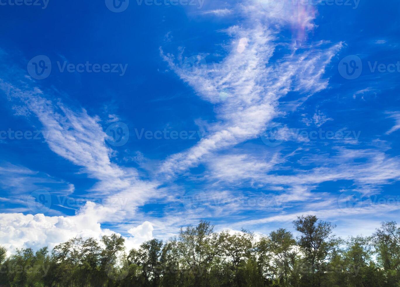 White fluffy clouds in blue sky with light from the Sun over the pine trees photo