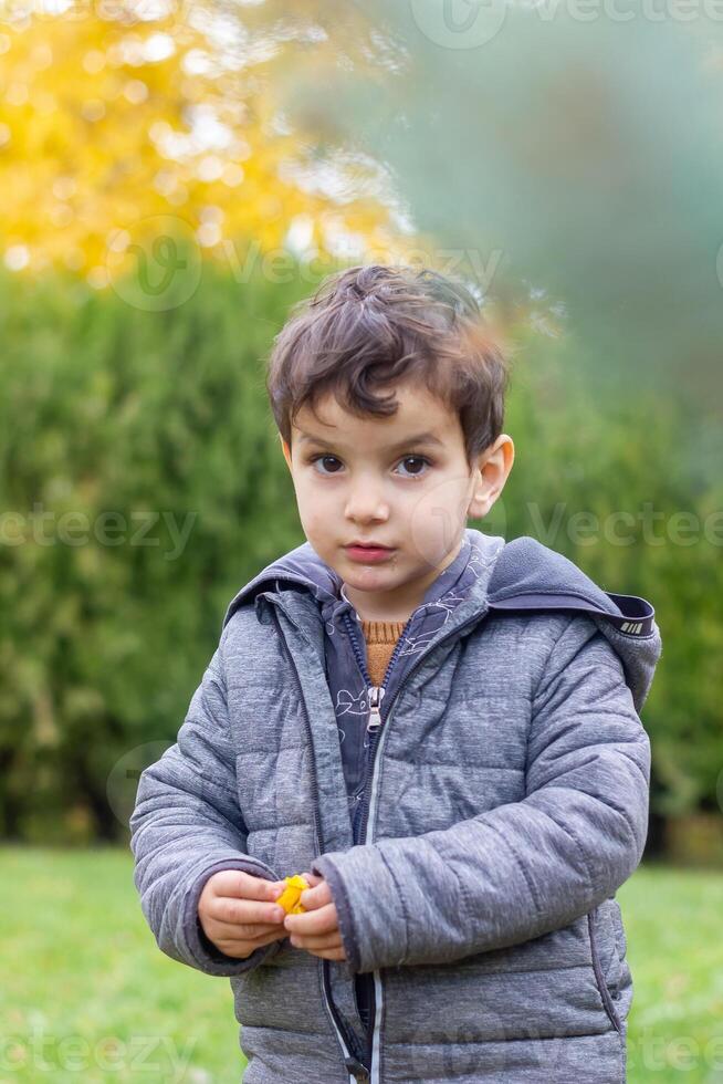 the little child playing in the park with fruits, little girl in the autumn park photo