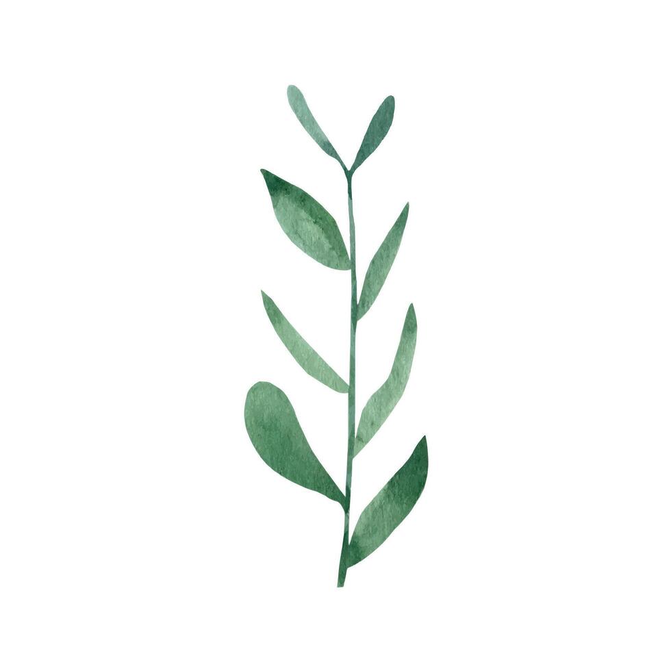 Cute hand drawn forest leaves on branch. Watercolor illustration leaves vector