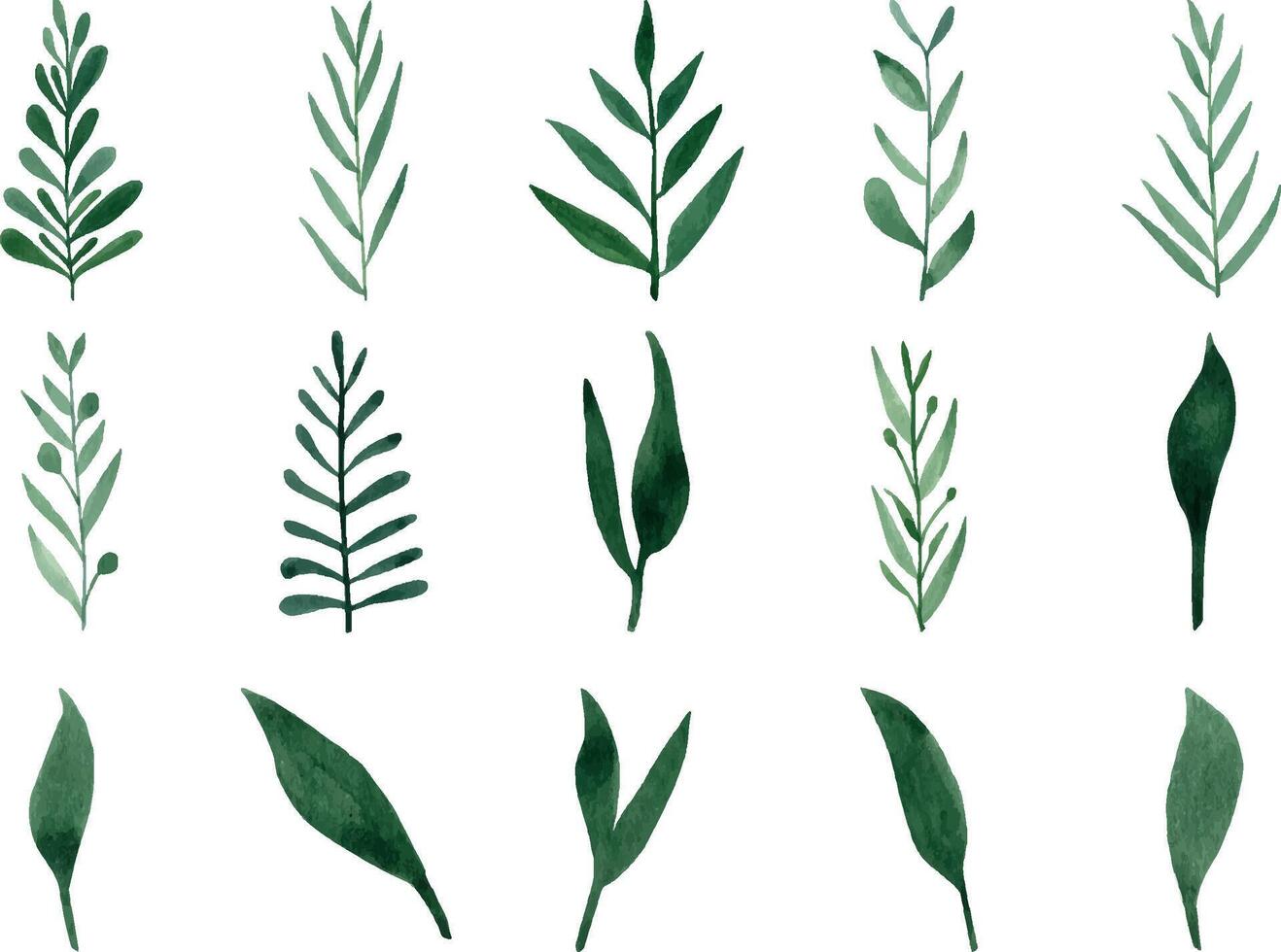 Cute hand drawn forest leaves and branch set. Watercolor illustration leaves vector