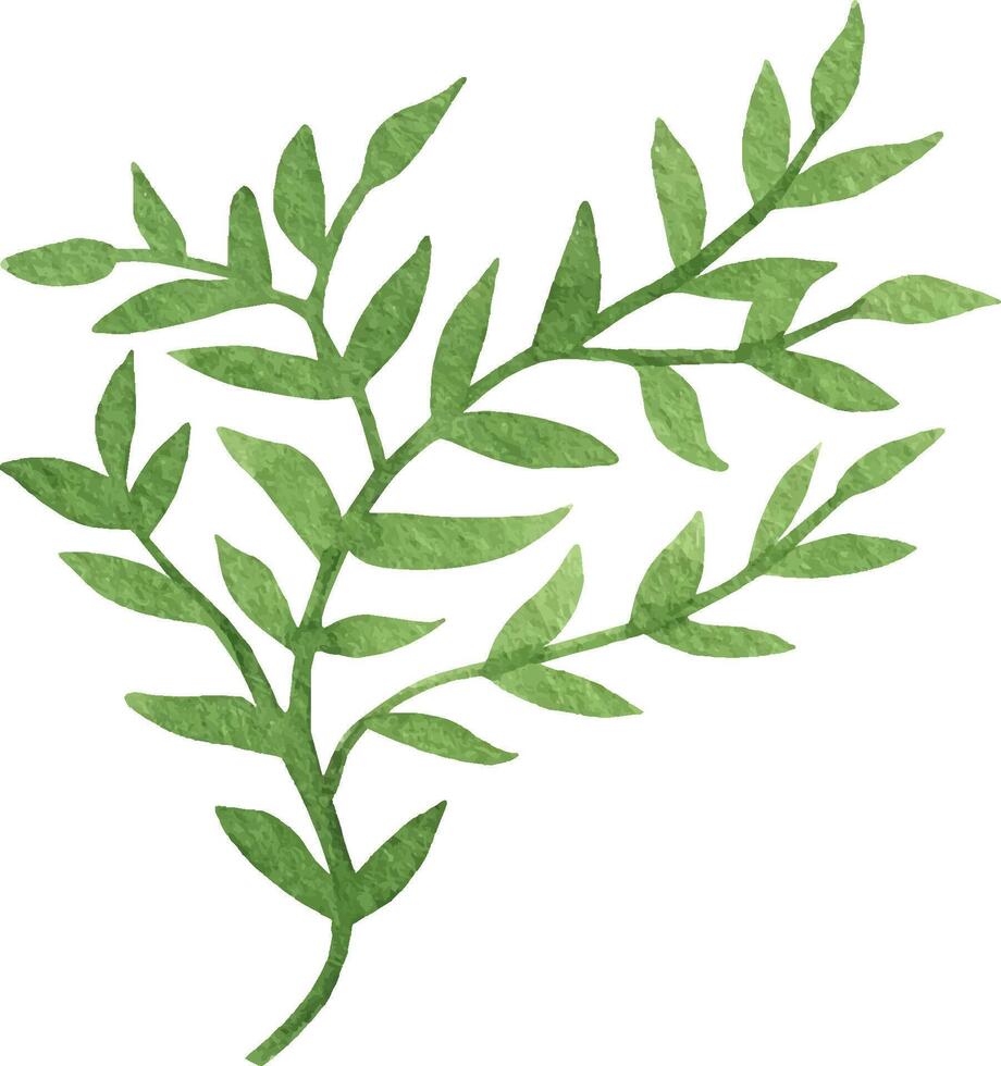 Cute hand drawn green branch of leaves. vector