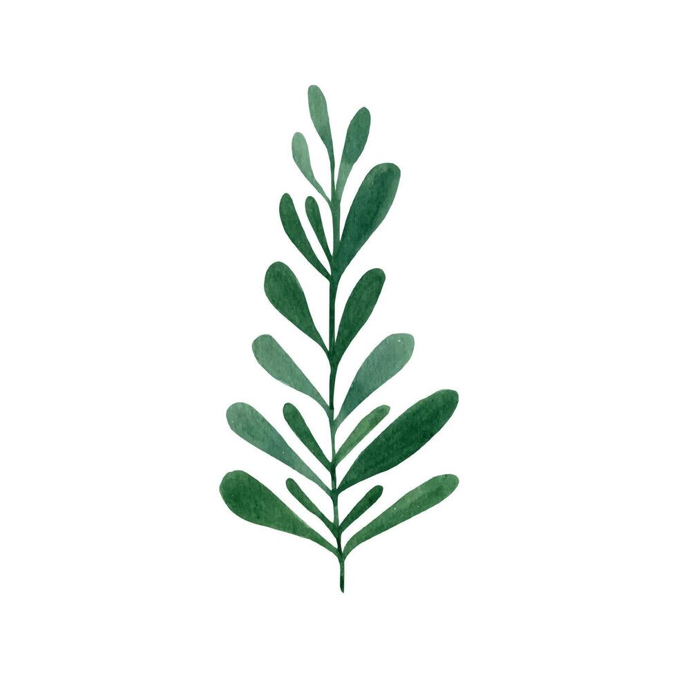 Cute hand drawn forest leaves on branch. Watercolor illustration leaves vector
