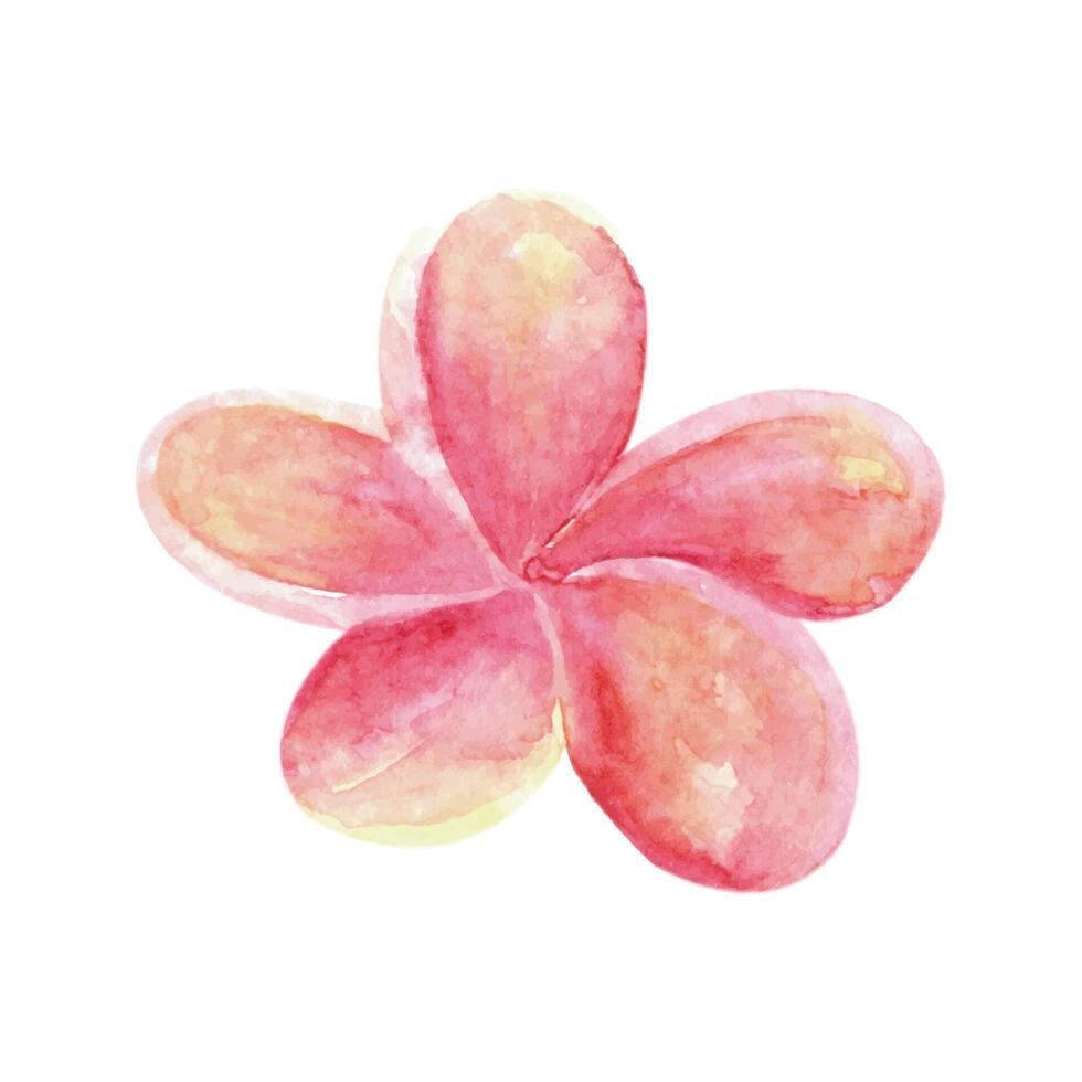 tropical acuarela flor. hermosa mano dibujado ilustración vector