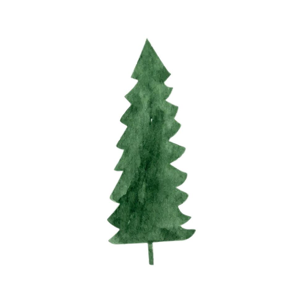 mano dibujado acuarela abeto árbol bosque clipart vector