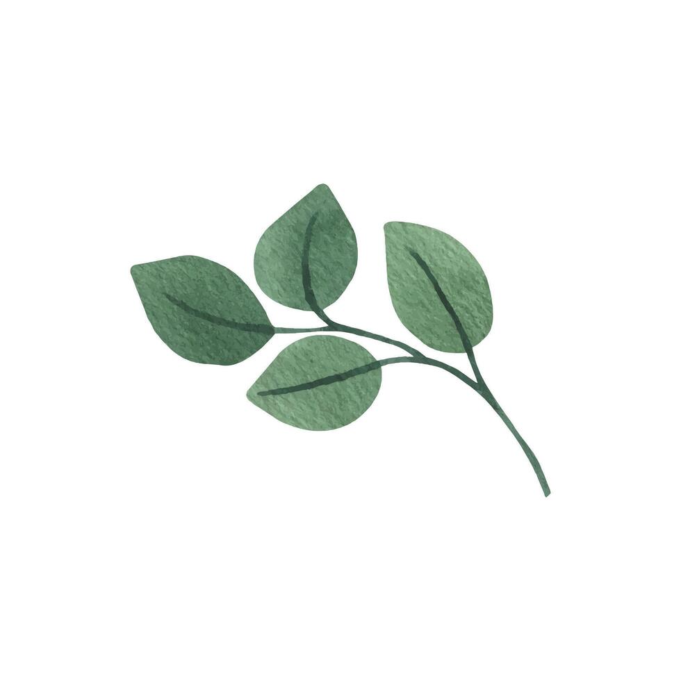 Round eucalyptus clipart for wedding invitations vector