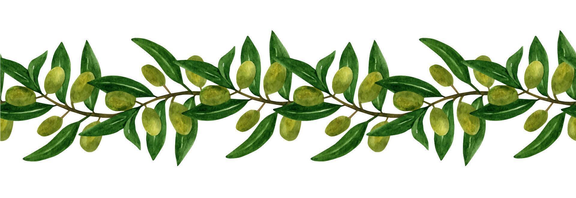 Olives seamless brush, border with olive branches and fruits for Italian cuisine design vector