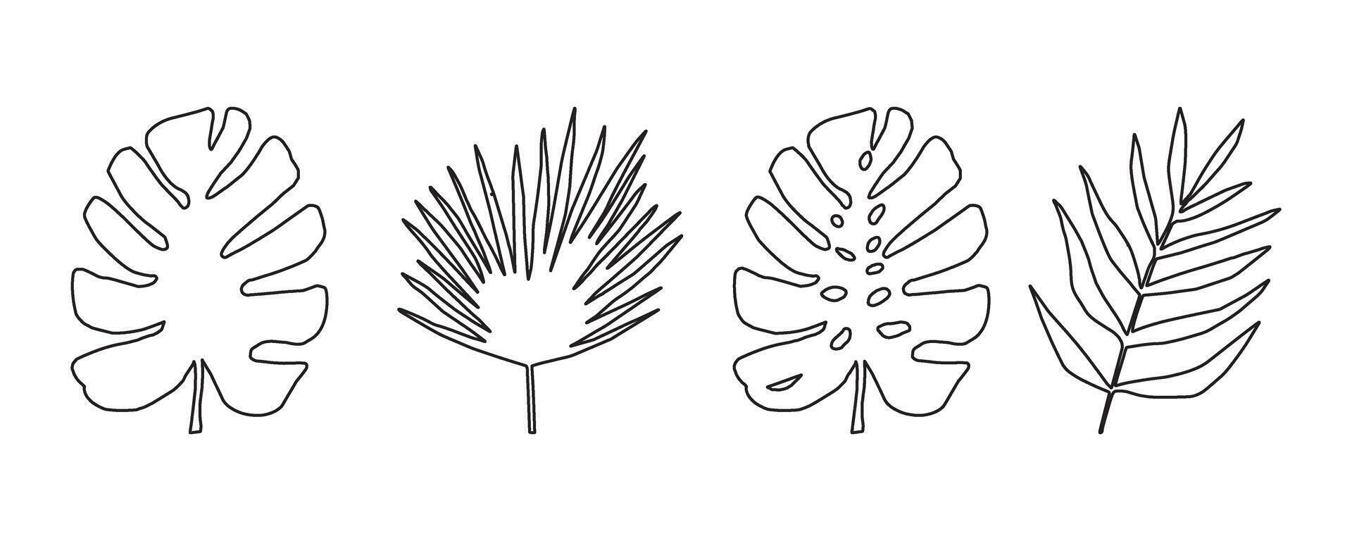 Set of monochore silhouettes of tropical leaves. Vector botanical illustrations, floral elements, monstera, palm leaves. Hand drawn plant for decoration.