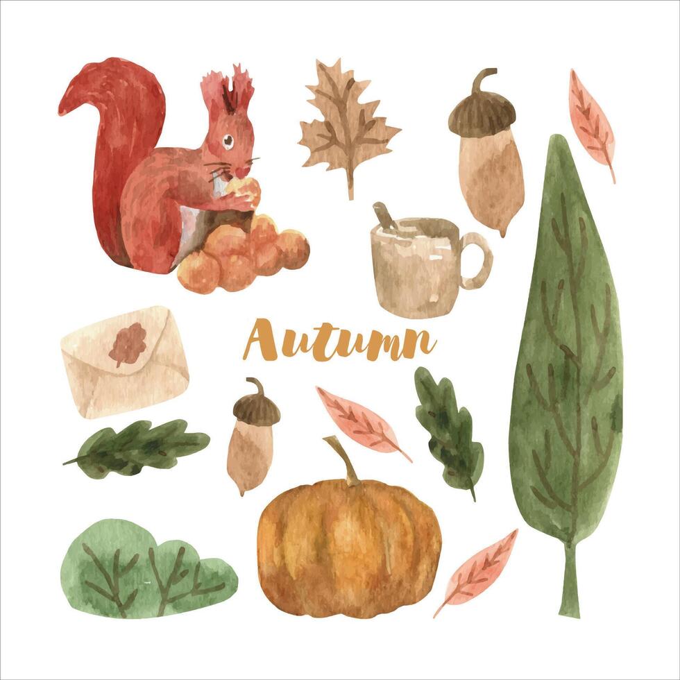 Cute autumn watercolor set with leaves, mushrooms, pumpkin and squirrel. Seasonal design for print, decoration. Isolated and high resolution. vector