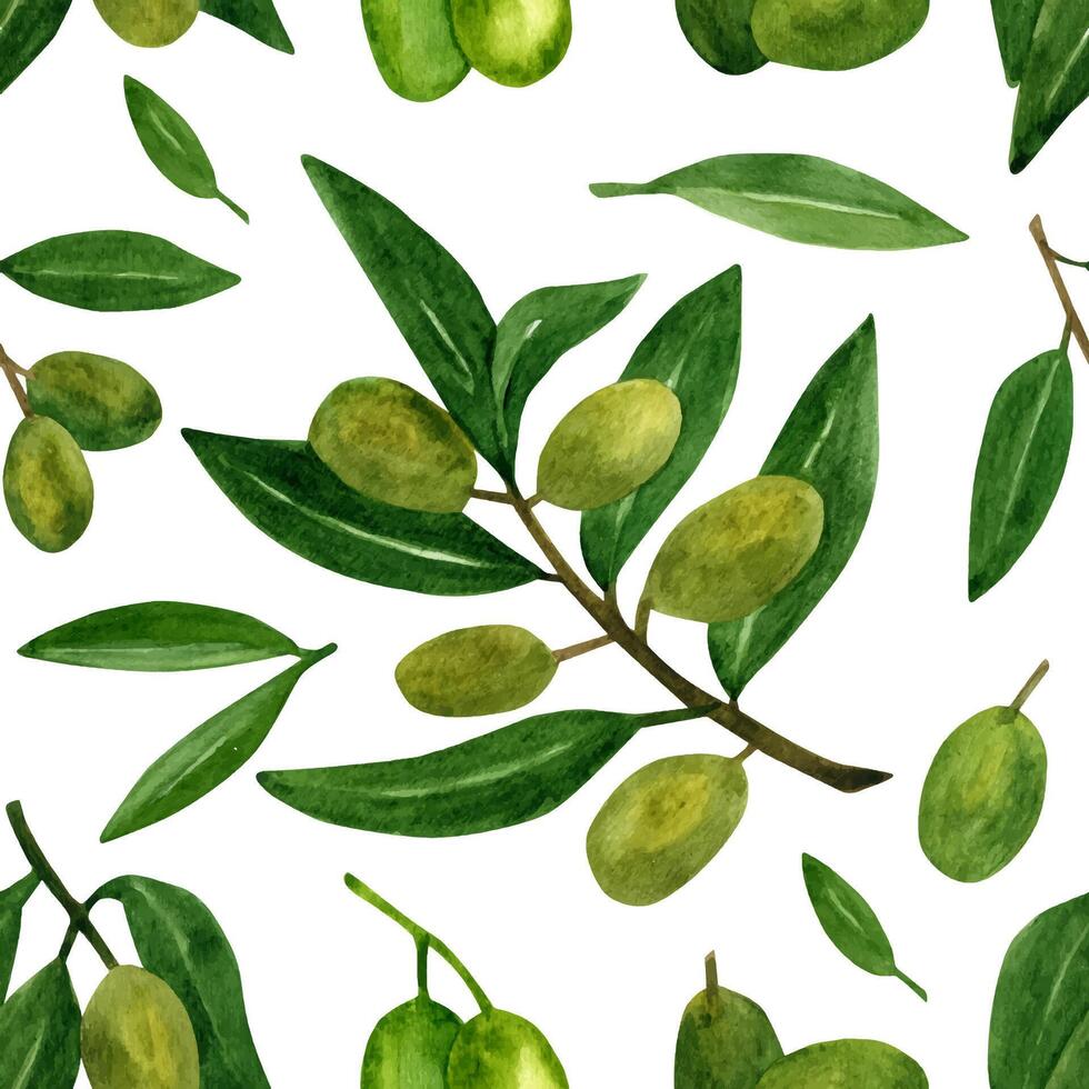 Olives seamless pattern with olive branches and fruits for Italian cuisine design or food with oil vector