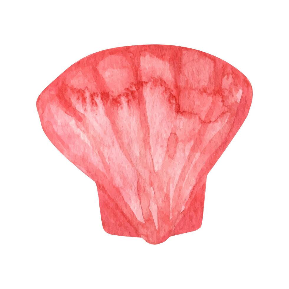 Cute seashell, summer clipart. Hand drawn watercolor illustration vector