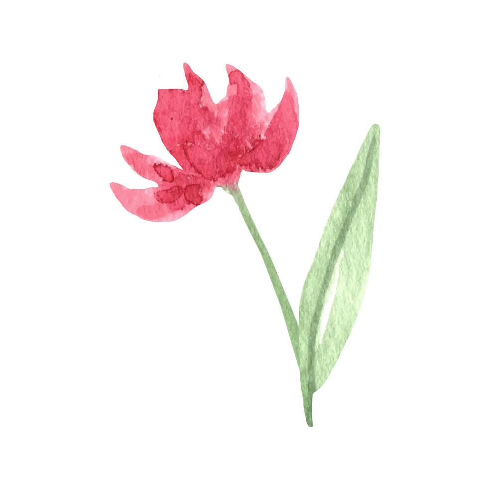 suelto acuarela rosado rosas. floral ilustración vector