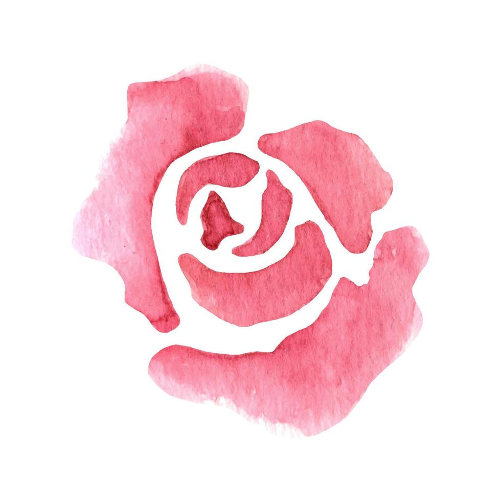 Loose watercolor pink roses. Floral illustration vector