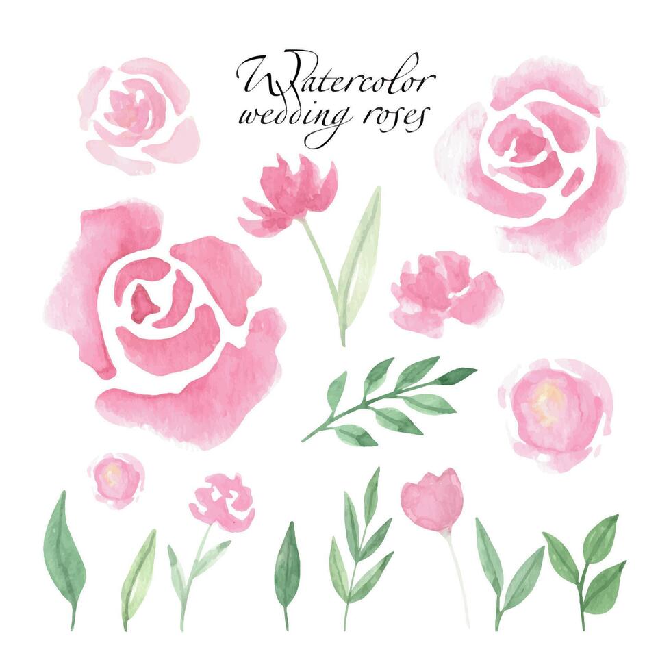 Set loose watercolor roses for gift card, invitation, wedding menu. vector