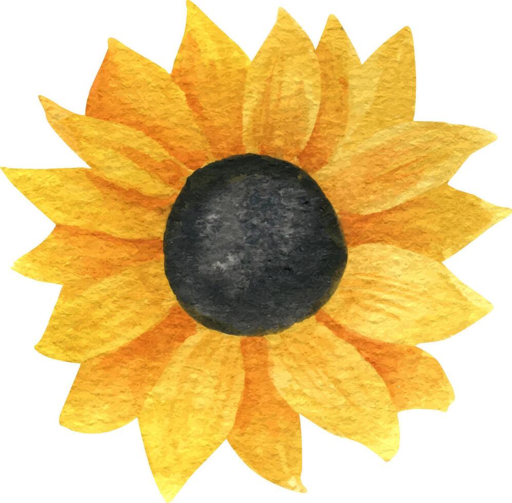 realista acuarela girasol vector