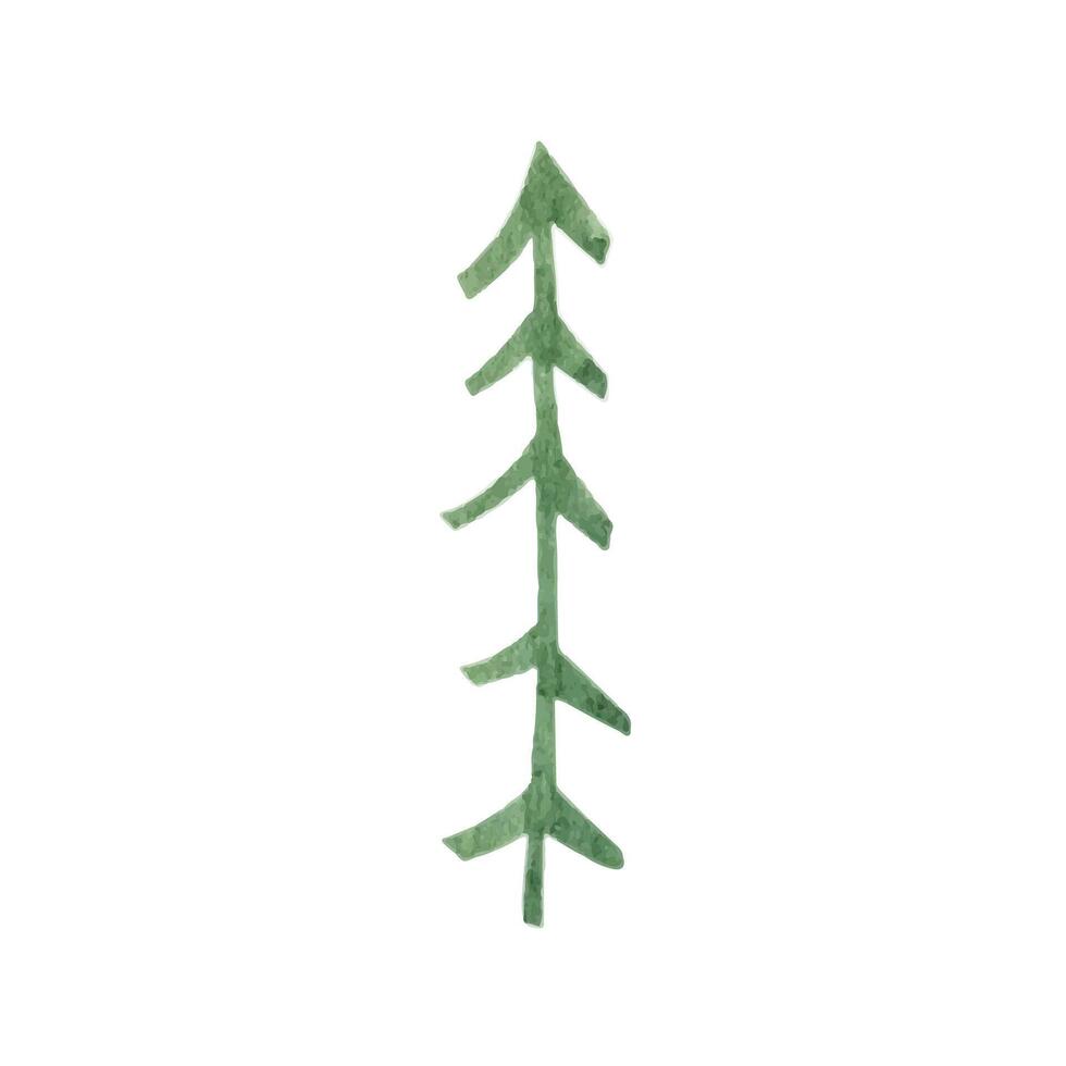 Hand drawn watercolor fir tree forest clipart vector