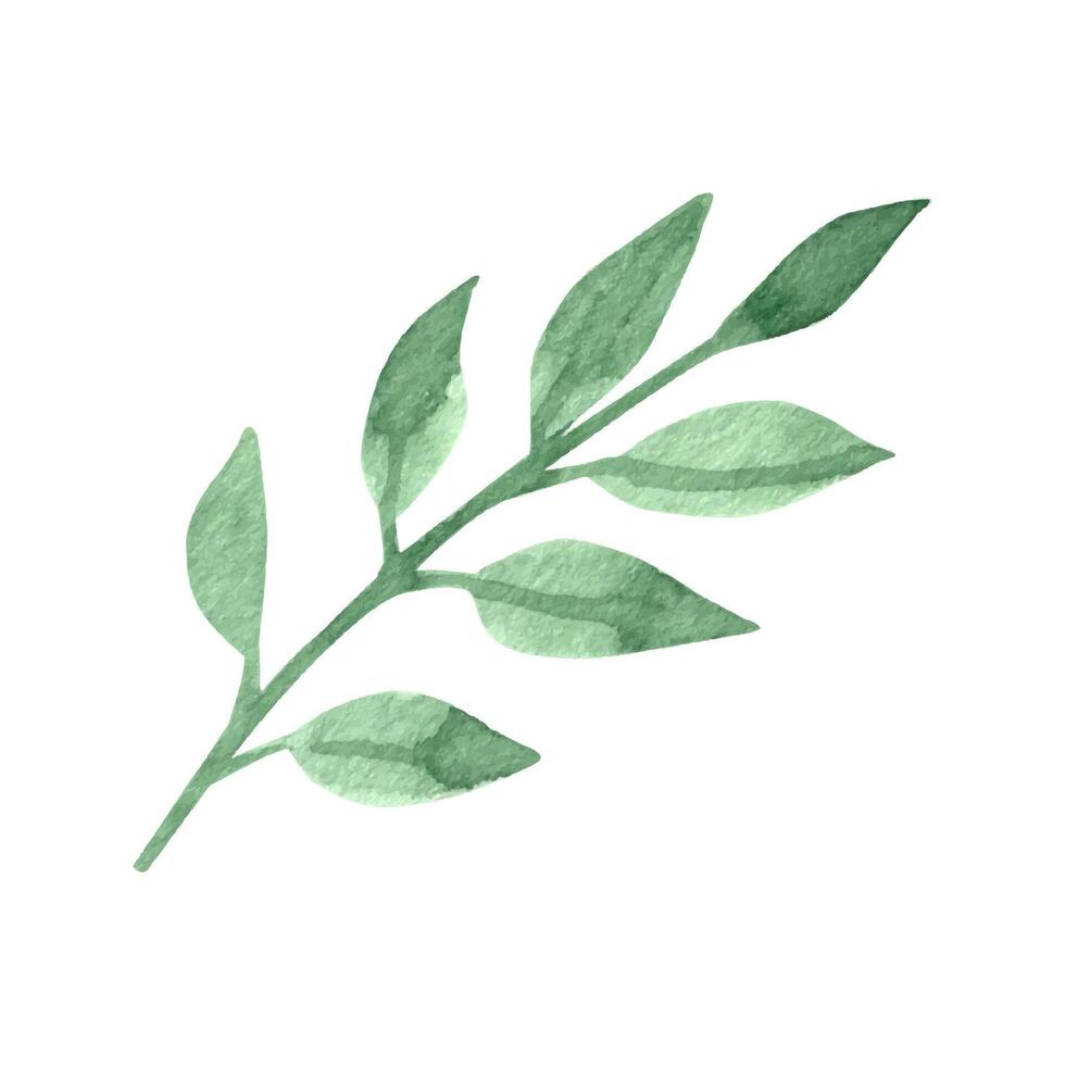 Cute hand drawn green leaf. Watercolor illustration leaves for wedding decoration and arrangements. vector