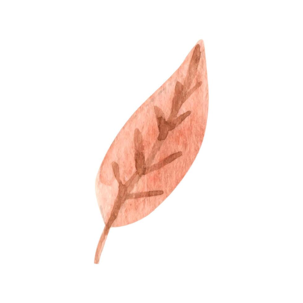 Cute autumn watercolor leaf. Seasonal fall clipart vector